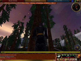 Image de Asheron's Call #1155