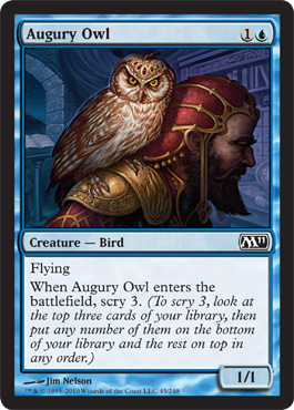 augury owl.jpg