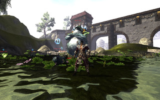 King Toad ! (Mini-Boss )