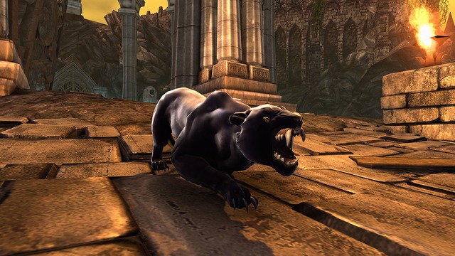 Images de Neverwinter