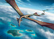 Illustration du Skywinder Drake