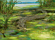 Illustration du Lurking Crocodile