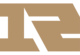 RNG 2019 logo