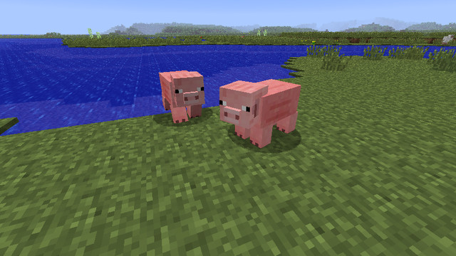 cochon 1.8