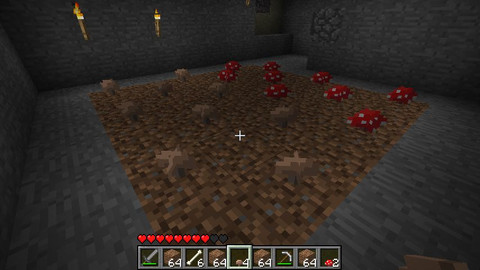 Minecraft - Agriculture, sylviculture et élevage