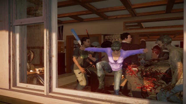 Images de State of Decay