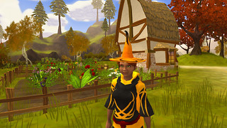 Image de Mystical Land #37485