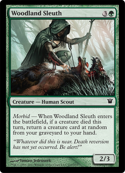 Woodland Sleuth