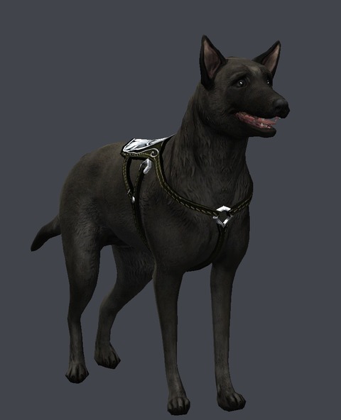 harnessed-dog.png
