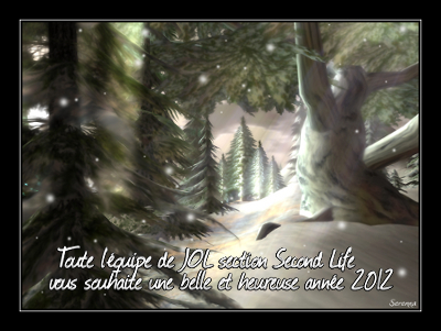 Second Life - Bonne année 2012 !