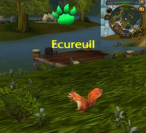 World of Warcraft - Débuter les combats de mascottes