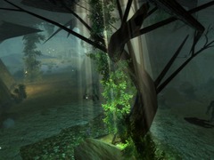 Caverne de la forêt mystique (Eveningstar)