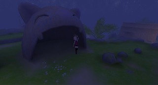 Komity tête de chat