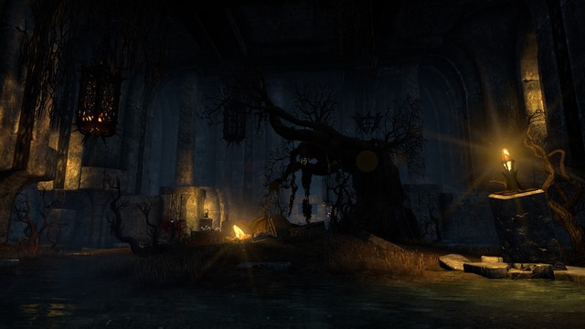 Images de The Elder Scrolls Online