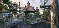 Morrowind : détails de développement et nouvelle vidéo de Naryu