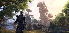 Dernière chance de Morrowind : un familier gratuit