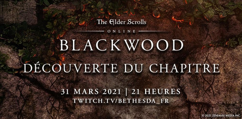 The Elder Scrolls Online - Une présentation de Blackwood sur Twitch