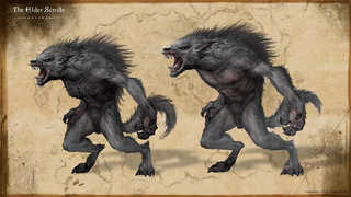 Illustration conceptuelle pour la refonte des loups-garous