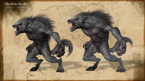The Elder Scrolls Online - La refonte de la classe du loup-garou passée à la loupe