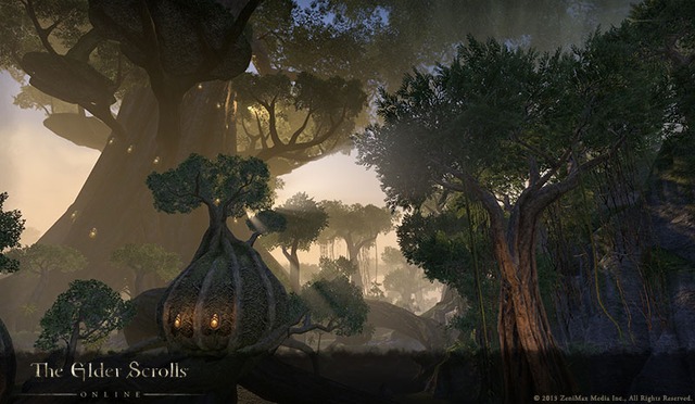 Images de The Elder Scrolls Online