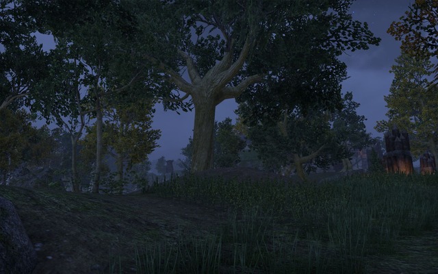 Images de The Elder Scrolls Online