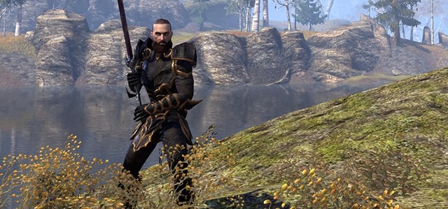 Images de The Elder Scrolls Online