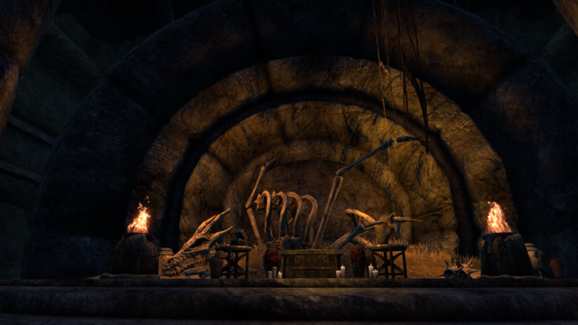 Images de The Elder Scrolls Online