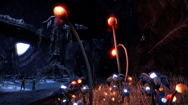 Images de The Elder Scrolls Online