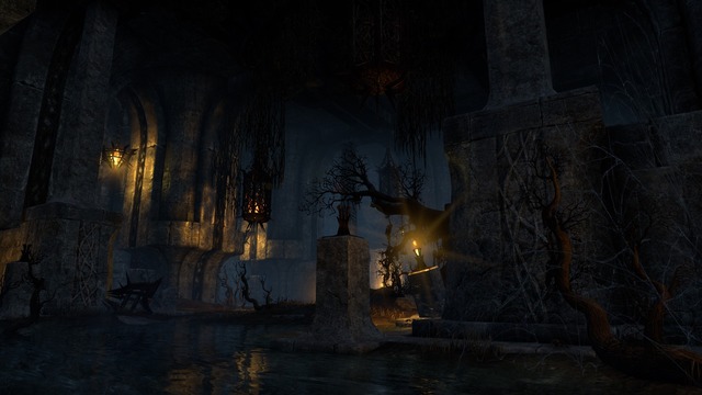 Images de The Elder Scrolls Online