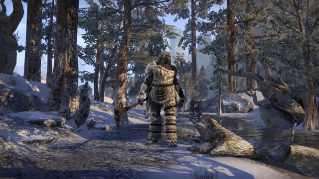 Images de The Elder Scrolls Online