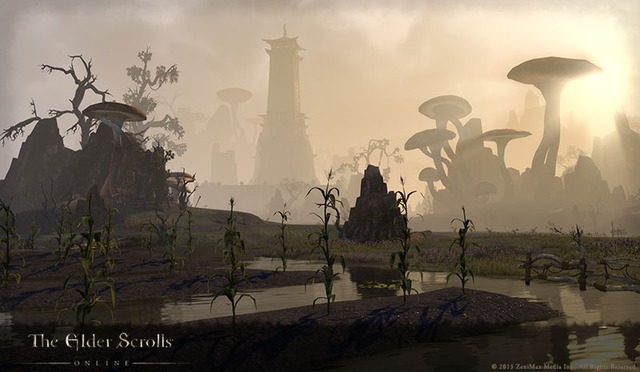 Images de The Elder Scrolls Online