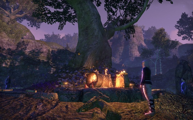 Images de The Elder Scrolls Online