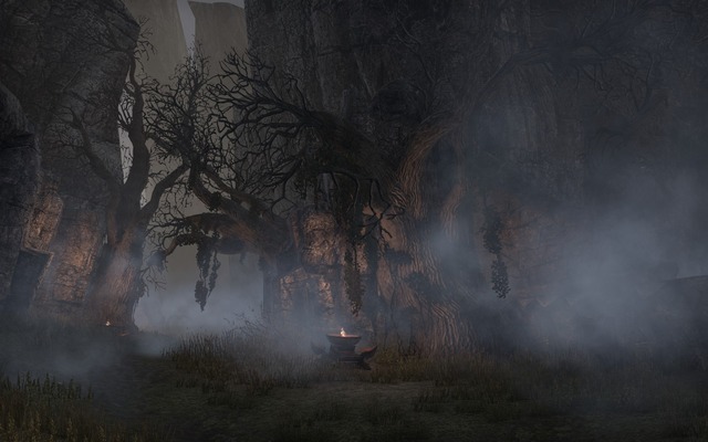 Images de The Elder Scrolls Online