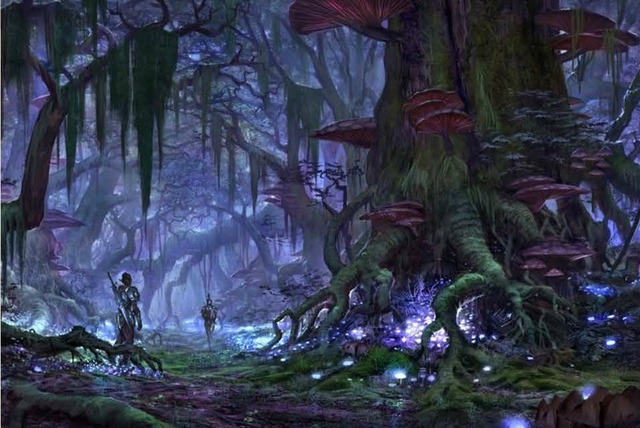 Concept Art d'Elder Scrolls Online