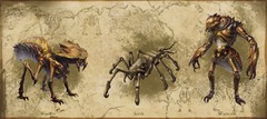 Bestiaire : le Kwama d'Elder Scrolls Online se dévoile