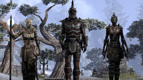 The Elder Scrolls Online - Le système de justice d'Elder Scrolls Online : forces de l'ordre ou hors-la-loi ?