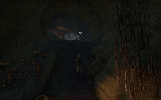 Images de The Elder Scrolls Online