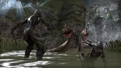 Un premier stream officiel du gameplay d'Elder Scrolls Online