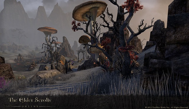 Images de The Elder Scrolls Online