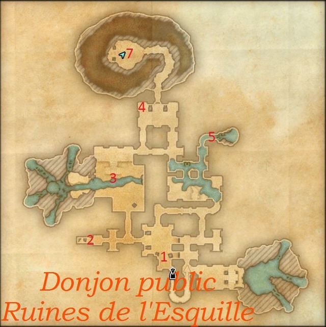 ruine esquille