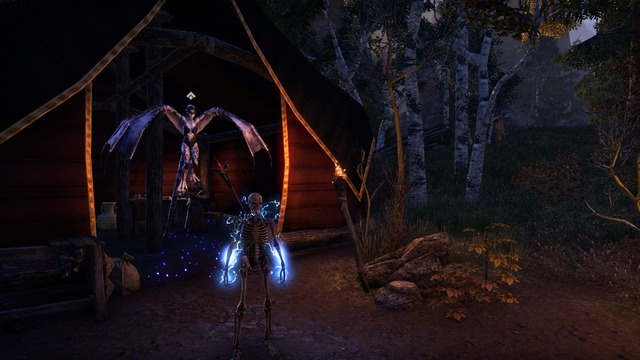 Images de The Elder Scrolls Online