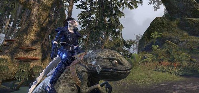 Images de The Elder Scrolls Online