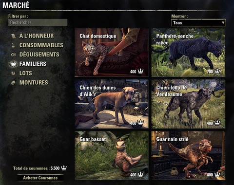 The Elder Scrolls Online - Voyage au coeur du PTS : le marché