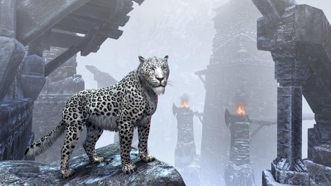 The Elder Scrolls Online - Nouveautés de la Boutique à Couronnes en janvier