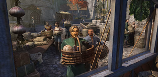 The Elder Scrolls Online - Communauté