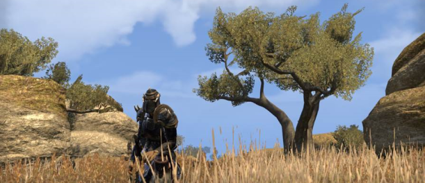 Images de The Elder Scrolls Online