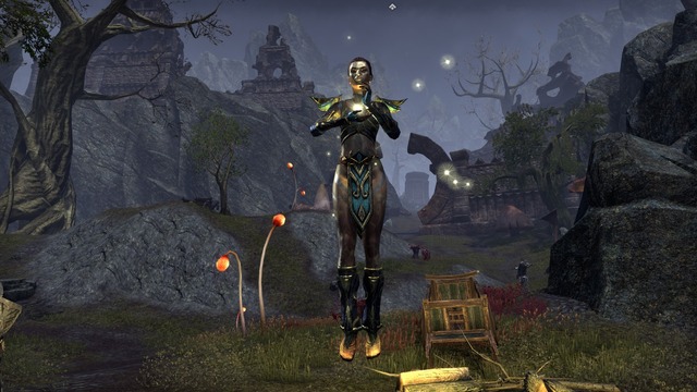 Images de The Elder Scrolls Online