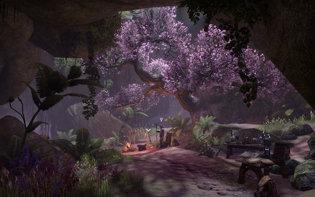 Images de The Elder Scrolls Online