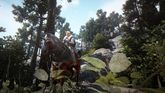 Images de Black Desert Online