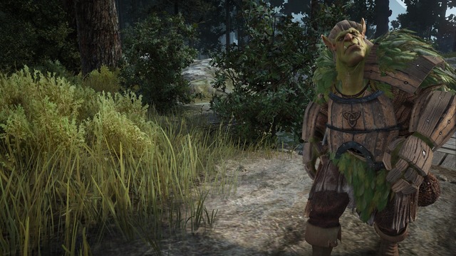 Orc